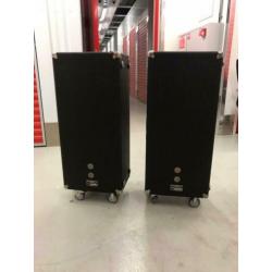 Peavey 1210TS T-300 Column speakers vintage + werkend