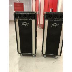 Peavey 1210TS T-300 Column speakers vintage + werkend