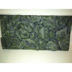 3D achterwand 100x50cm grijs/groen