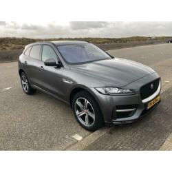 Jaguar F-Pace 2.0D AWD R-Sport Automaat | Panoramadak