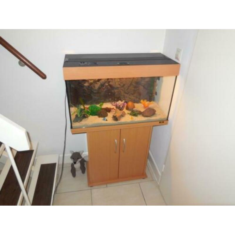 aquarium/kastcombinatie juwel rio 125 met toebehoren