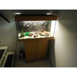 aquarium/kastcombinatie juwel rio 125 met toebehoren