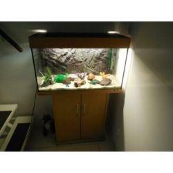 aquarium/kastcombinatie juwel rio 125 met toebehoren