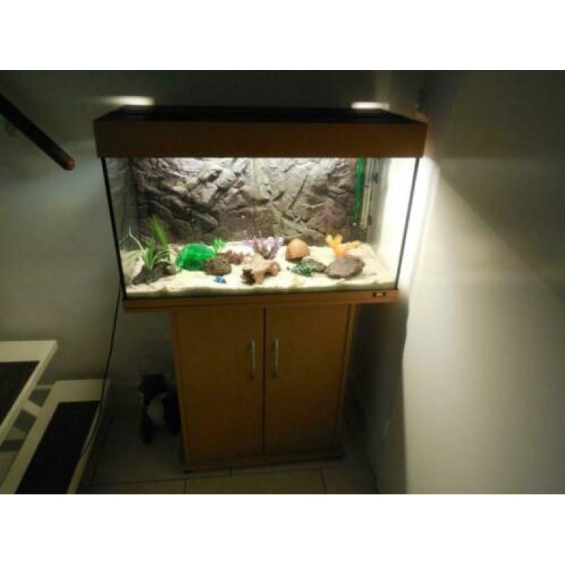 aquarium/kastcombinatie juwel rio 125 met toebehoren