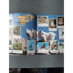 plaatjesboek Panini : animals of the world ( superstaat)