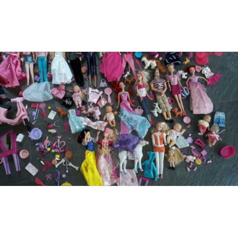 Grote partij Barbies met accessoires - Barbie