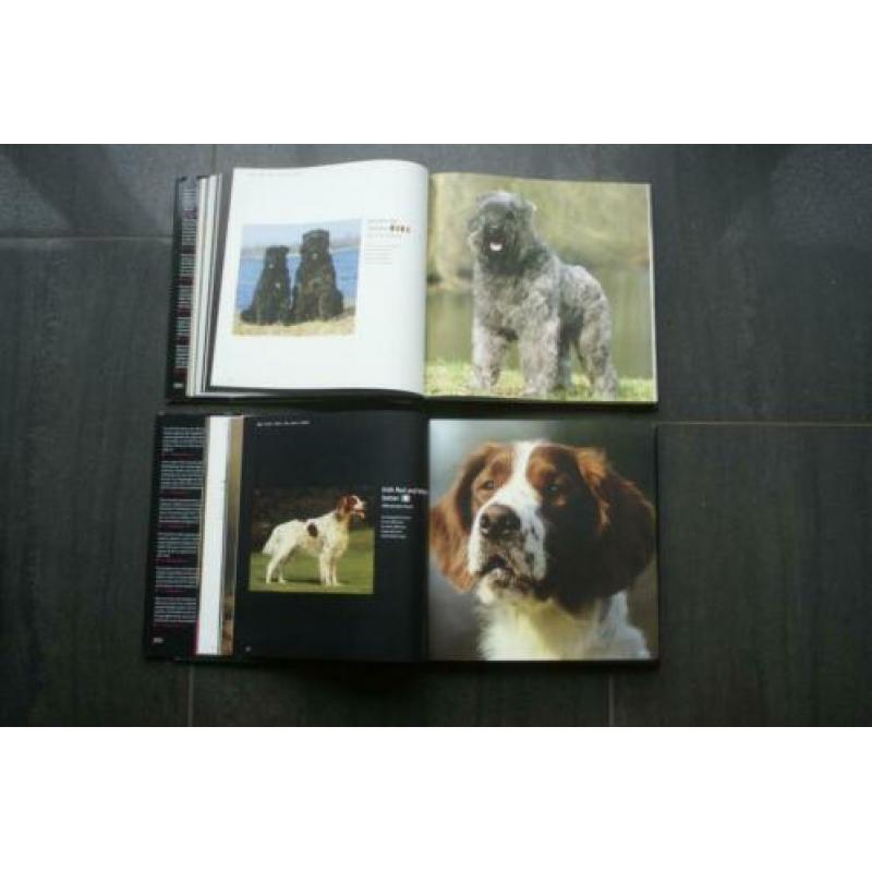 DOGS... A - G.. / DOGS... H - Z.. (Hardcovers)