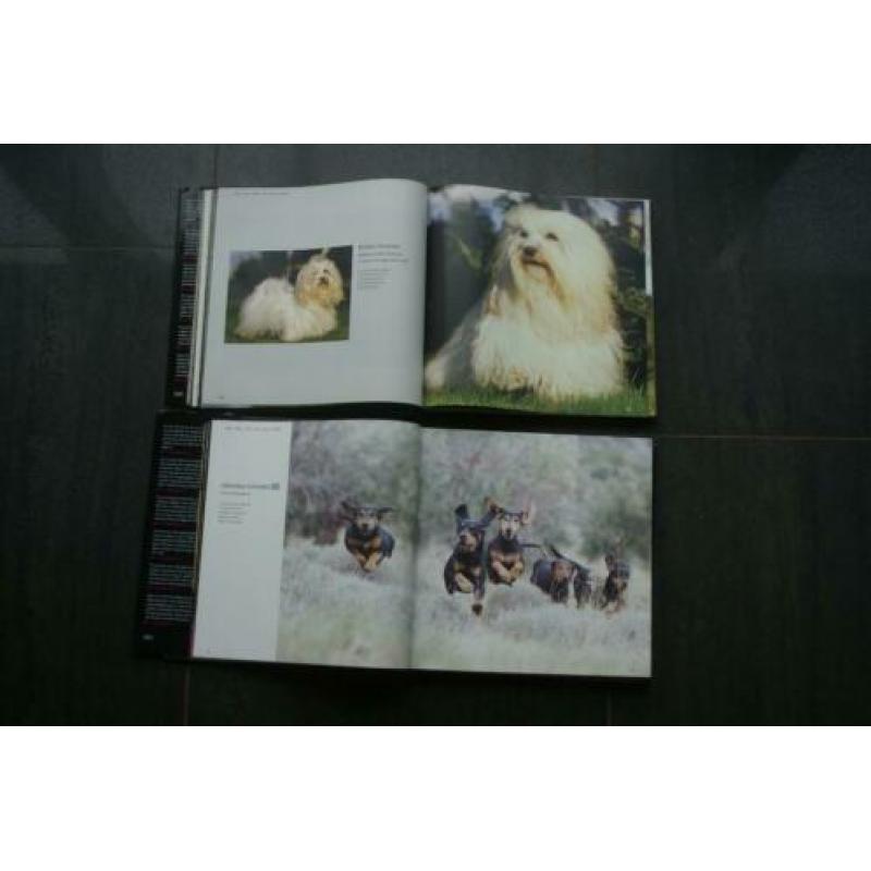 DOGS... A - G.. / DOGS... H - Z.. (Hardcovers)