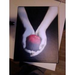 Twilight saga hard cover !!! Nieuw nooit gelezen