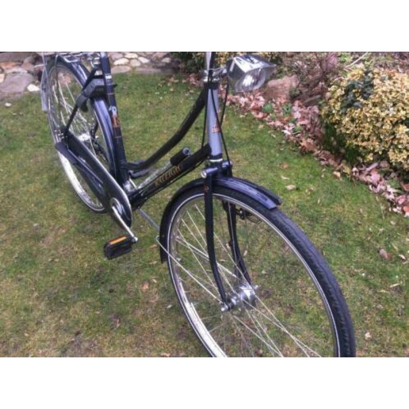 Raleigh Sherwood KT3 damesfiets 54 cm met 3 versnellingen