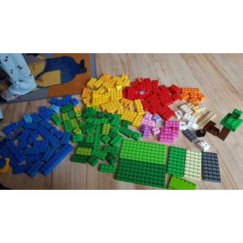 Grote en leuke set duplo.