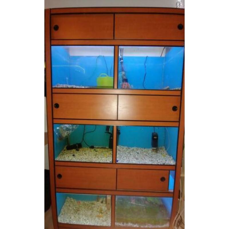 Aquarium stelling