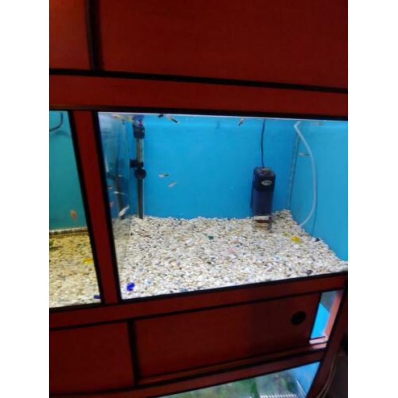 Aquarium stelling