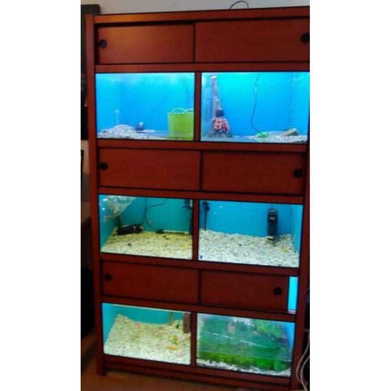 Aquarium stelling