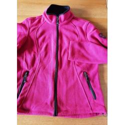 Falcon sweatvest, roze, XL, ZGAN