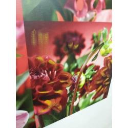 Canvas met diverse bloemen 122 x 122cm.