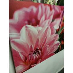 Canvas met diverse bloemen 122 x 122cm.