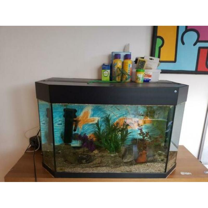 Aquarium met guppies helemaal compleet