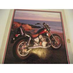 kawasaki VN 700-750cc 1985-1995 service-reparatie boek