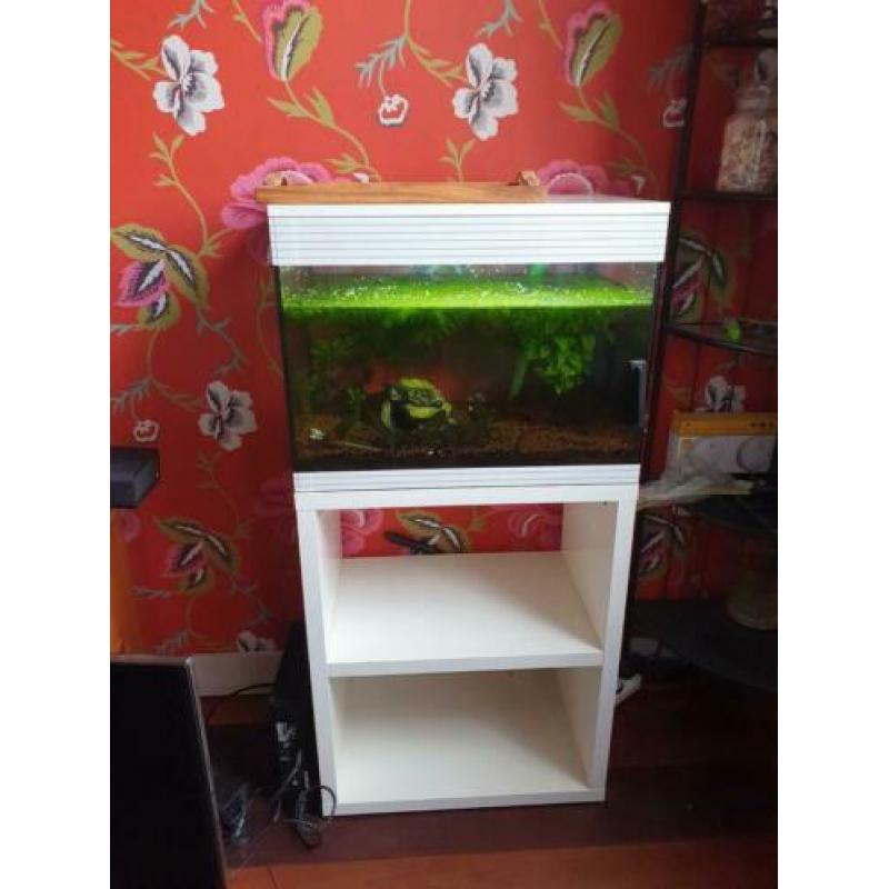 Compleet aquarium te koop