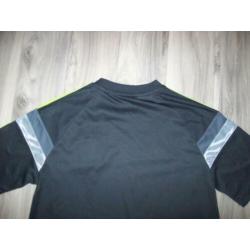 Ajax shirt (3 ster) maat 176 (nieuw)