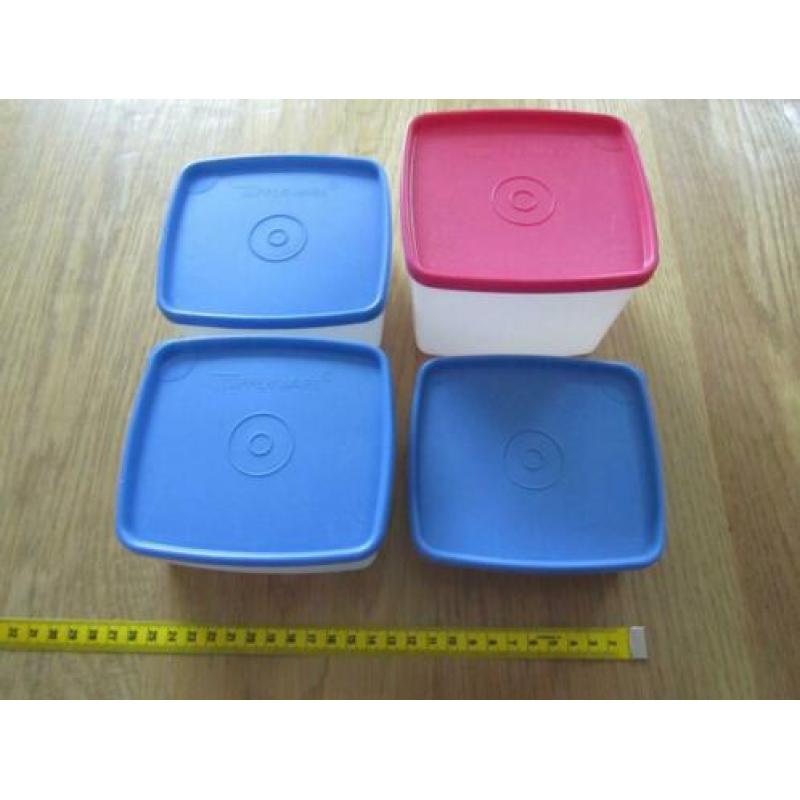 tupperware diepvries dozen set van 4 bakjes voor diepvries