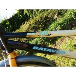 Degelijke Batavus Fox 24 inch wielen