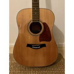 Gitaar - Richwood RD-17 artist series -tas & capo & stemmer