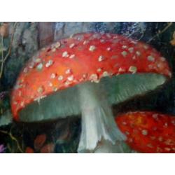 Olieverf - Jan de Boer - Herfst - Paddenstoelen - gesigneerd