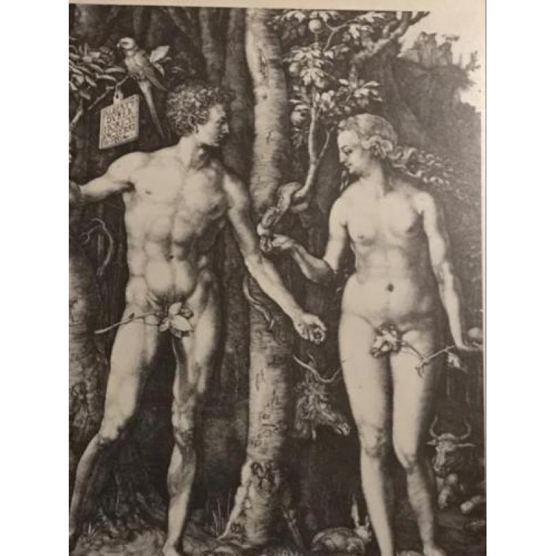 Adam en Eva prent Albrecht durer 27x33cm