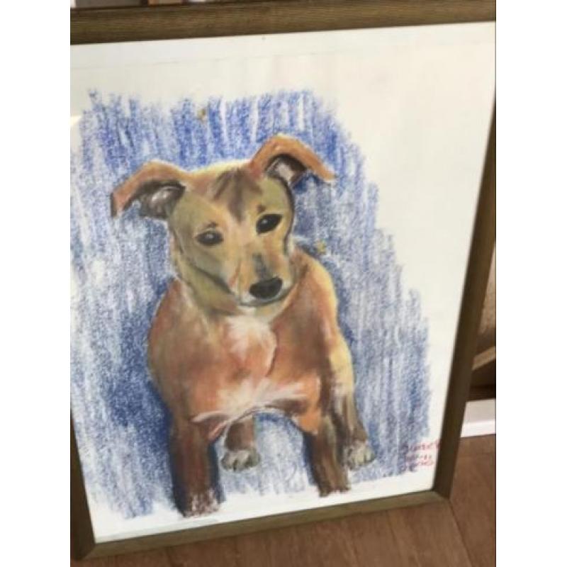 Krijt tekening kruising hondje Jack Russel ? 55x75 cm