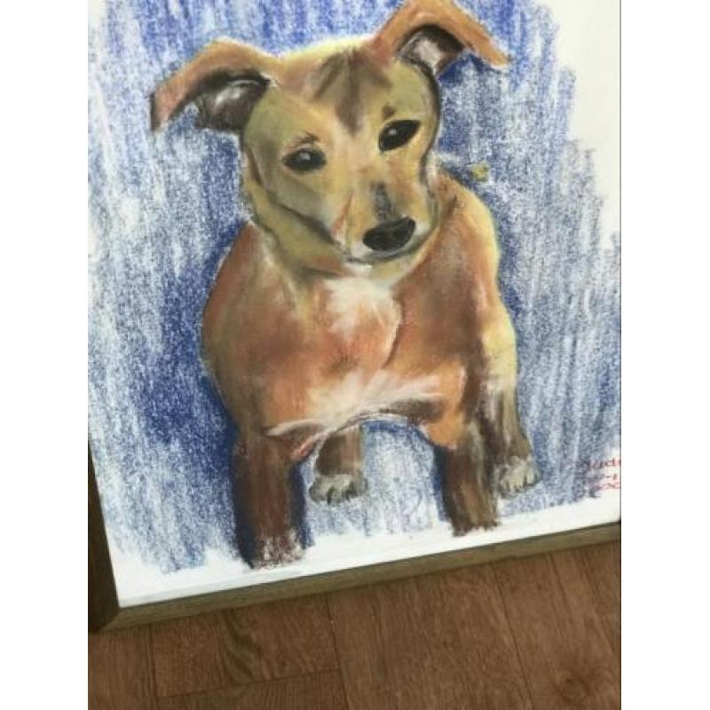 Krijt tekening kruising hondje Jack Russel ? 55x75 cm