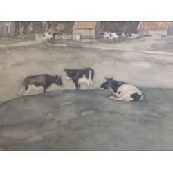 Aquarel/litho Ype Wenning