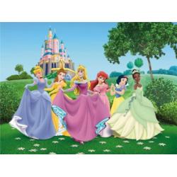 Disney Princess behang Fotobehang prinses, Gratis verzending