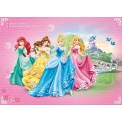 Disney Princess VLIES fotobehang Prinsessen * Muurdeco4kids