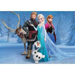 Fotobehang Frozen Gratis Lijm en verzenden