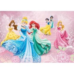 Disney Princess VLIES fotobehang Prinsessen * Muurdeco4kids